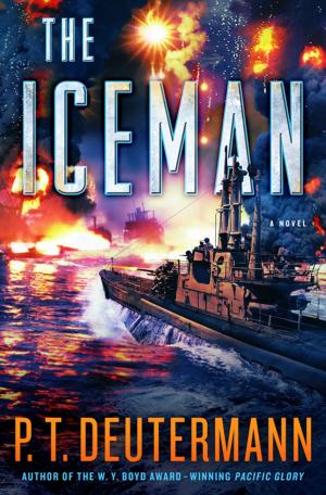 bigCover of the book The Iceman by 