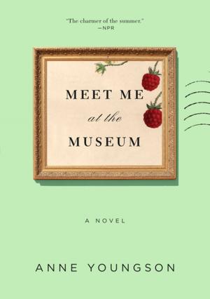 Cover of the book Meet Me at the Museum by C. J. Frick