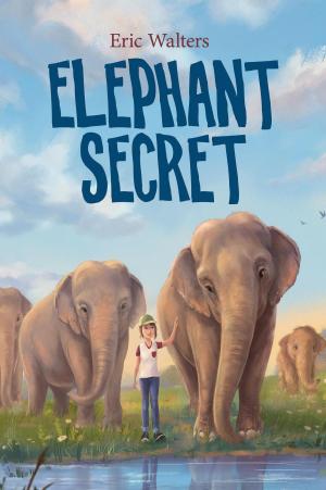 Cover of the book Elephant Secret by Simon Fitzmaurice