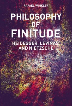 Cover of the book Philosophy of Finitude by Dr Kolawole Olaniyan