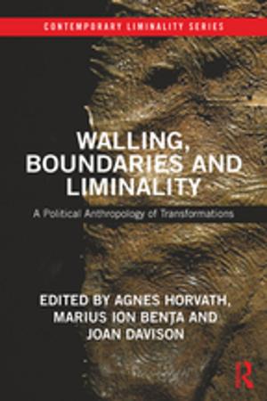 Cover of the book Walling, Boundaries and Liminality by Edward Larrissy