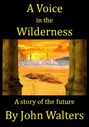 Book cover of A Voice in the Wilderness
