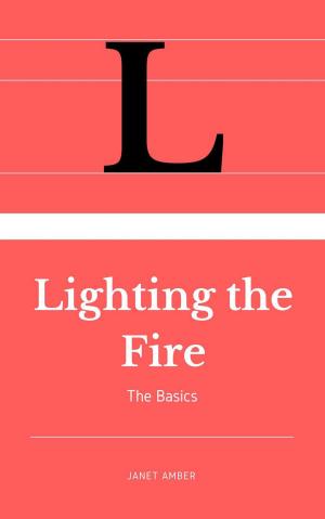 Cover of the book Lighting the Fire: The Basics by Angie T. Lee