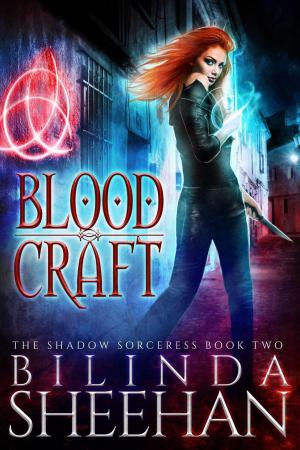 Cover of the book Blood Craft by Darragh Metzger