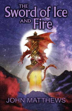 Book cover of The Sword of Ice and Fire