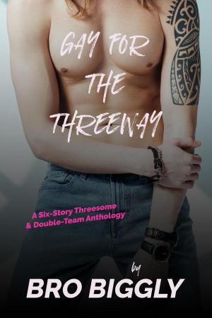 Cover of the book Gay for the Threeway by Bro Biggly