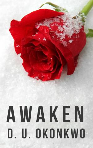 Cover of the book Awaken by Annemarie Musawale