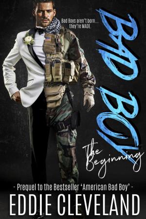 Cover of the book Bad Boy: The Beginning by Mala Spina