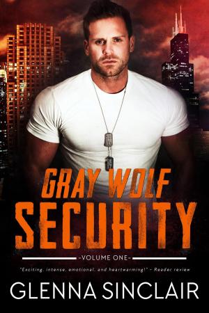 Cover of the book Gray Wolf Security by Jami Wagner