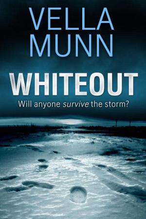Cover of the book Whiteout by Roger Busby