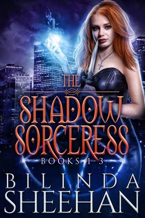 Cover of the book The Shadow Sorceress Books 1-3 by Joe Bandel