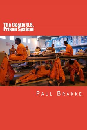Book cover of The Costly U.S. Prison System