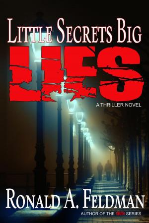 Book cover of Little Secrets Big Lies