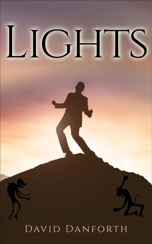 Cover of the book Lights by Vallory Vance