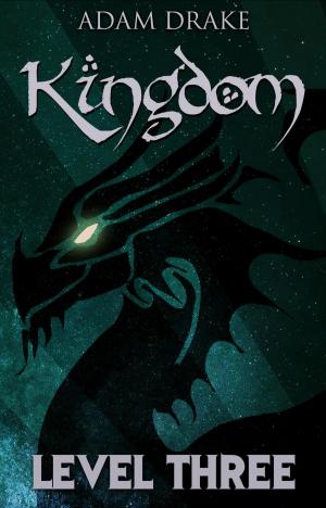 Book cover of Kingdom Level Three: LitRPG