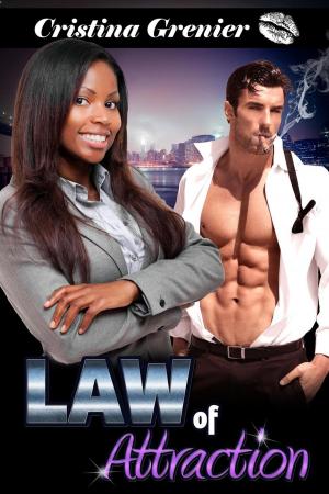 Cover of the book Law of Attraction by Lexi Lewis