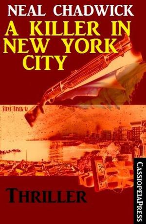 Book cover of A Killer in New York City: Thriller