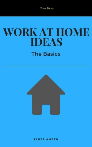 Cover of the book Work at Home Ideas: The Basics by Janet Amber