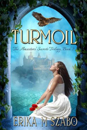 Cover of the book Turmoil: The Ancestors' Secrets Trilogy, Book 2 by Tiffini Johnson