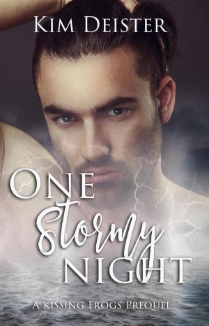 Cover of the book One Stormy Night by K. B. Miller