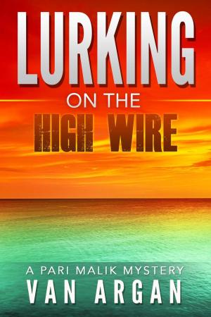 Book cover of Lurking on the High Wire