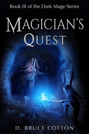 Cover of the book Magician's Quest by Danielle Perrotte Dobbs