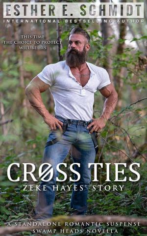 Cover of the book Cross Ties by Kerry Schafer