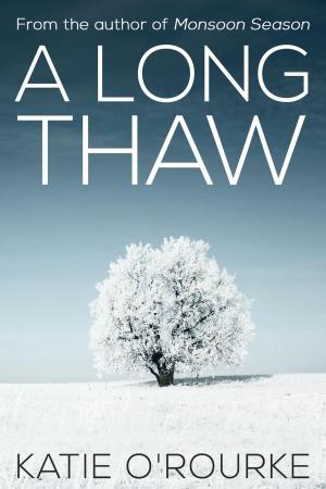 Cover of the book A Long Thaw by Diamante Lavendar