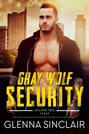 Cover of the book Gray Wolf Security (Texas) by Deborah Kalin