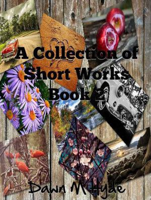 Cover of the book A Collection of Short Works Book 2 by Dawn M Hyde