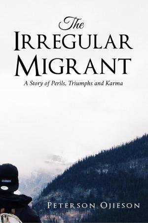 bigCover of the book The Irregular Migrant : A Story of Perils,Triumphs and Karma by 