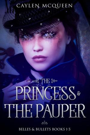 Cover of the book The Princess & The Pauper by D W Gladstone
