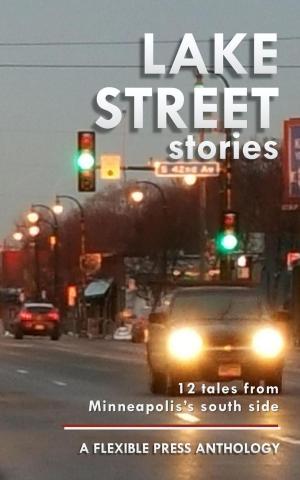 Cover of the book Lake Street Stories by J.F. Salerno