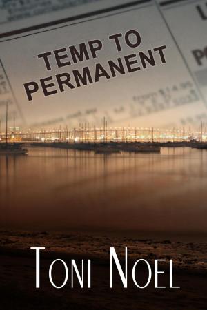 Cover of the book Temp to Permanent by Martin Litherland