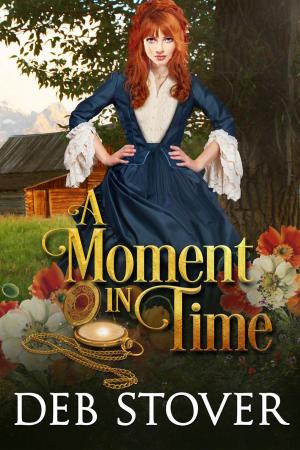 Cover of the book A Moment in Time by Elizabeth Ann West