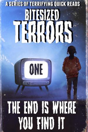 Book cover of Bitesized Terrors 1: The End is Where You Find It.