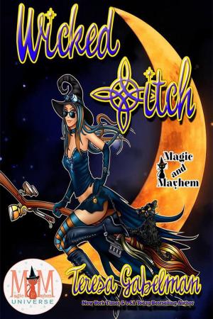 Book cover of Wicked *itch: Magic and Mayhem Universe