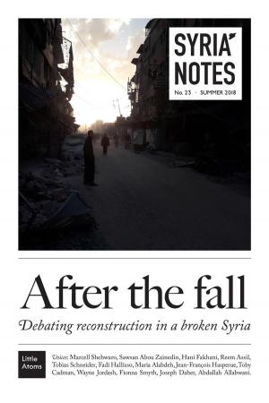 Cover of the book Syria Notes: After the fall by David Swanson