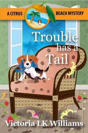Cover of the book Trouble Has A Tail by Maureen Meehan Aplin