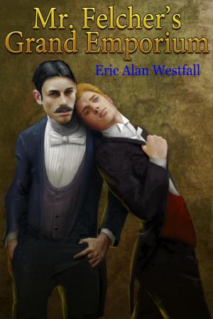 Cover of the book Mr. Felcher's Grand Emporium by Elizabeth  Ashworth