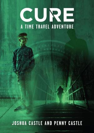 Cover of the book Cure - A Time Travel Adventure by M.M. Gavillet
