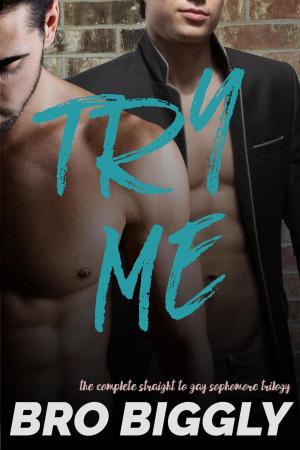 Cover of the book Try Me: The Complete Straight to Gay Sophomore Trilogy by Bro Biggly