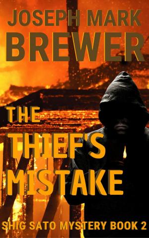 Book cover of The Thief's Mistake