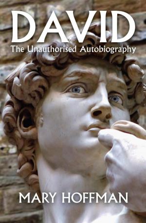 Cover of the book David: the Unauthorised Autobiography by António Lobo Antunes