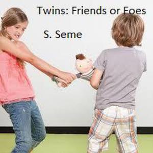 Cover of the book Twins: Friends or Foes by Christine Alisa