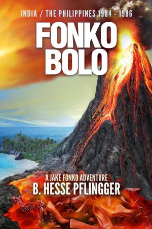 Book cover of Fonko Bolo