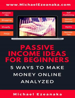 Cover of Passive Income Ideas For Beginners - 5 Ways to Make Money Online Analyzed
