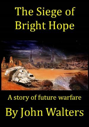 Book cover of The Siege of Bright Hope