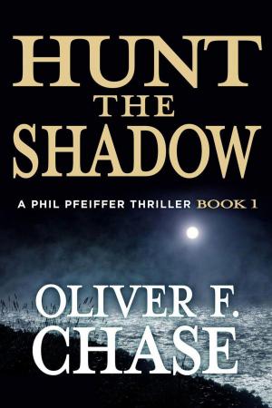 Cover of the book Hunt the Shadow by John Lamb
