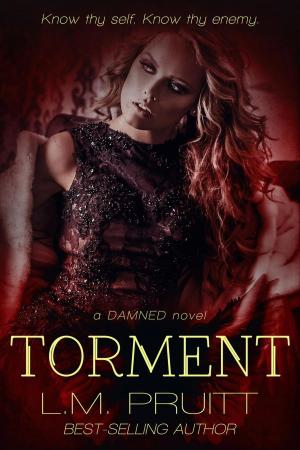 Cover of the book Torment by VR Thode